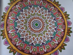 whatsapp bild 2025-03-27 um 17.07.05_3fda8e2e